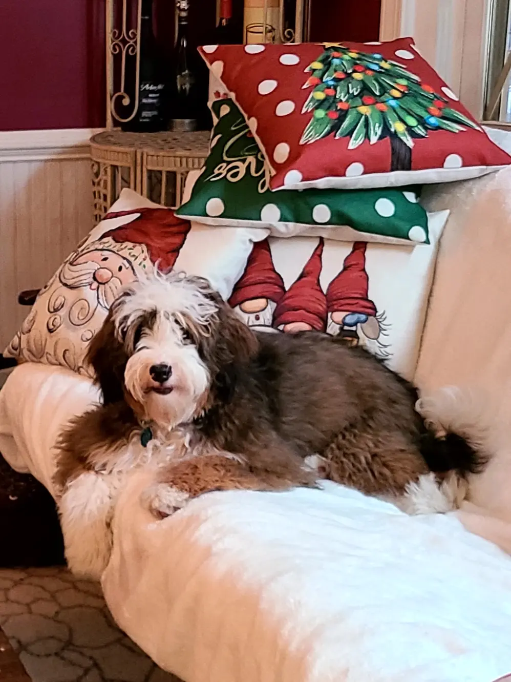 Murphy